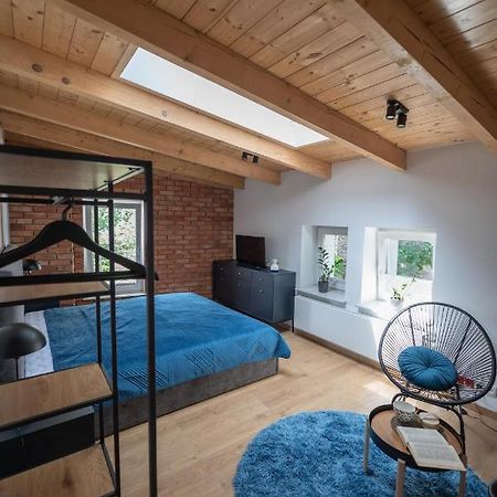Apartamenty Mlynska 5 Bielsko-Biala Bagian luar foto