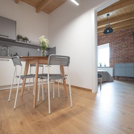 Apartamenty Mlynska 5 Bielsko-Biala Bagian luar foto