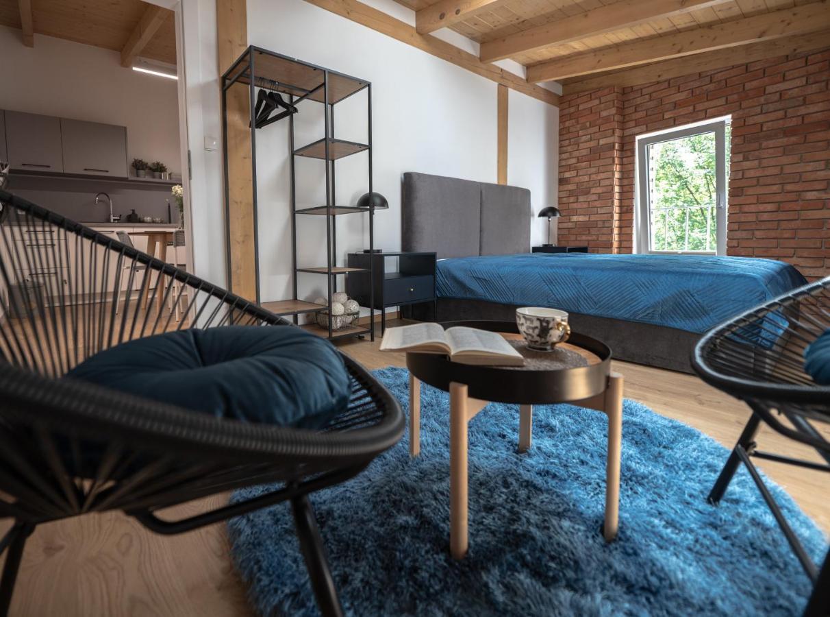 Apartamenty Mlynska 5 Bielsko-Biala Bagian luar foto