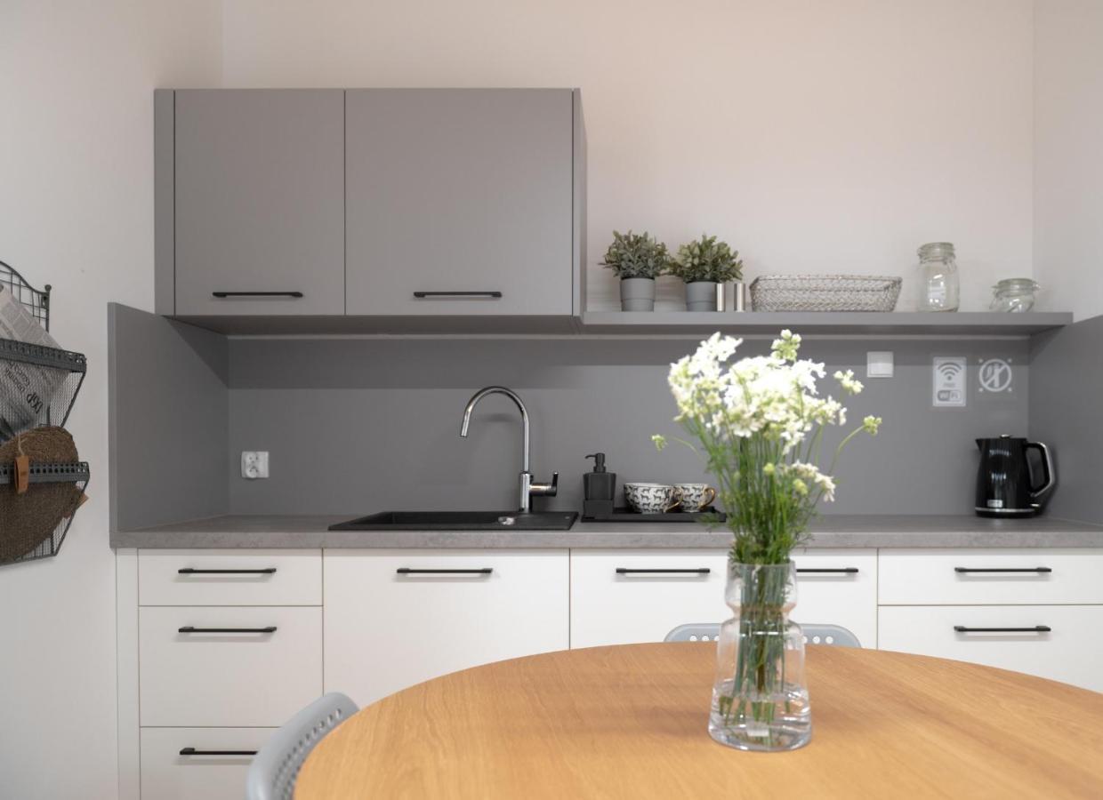 Apartamenty Mlynska 5 Bielsko-Biala Bagian luar foto