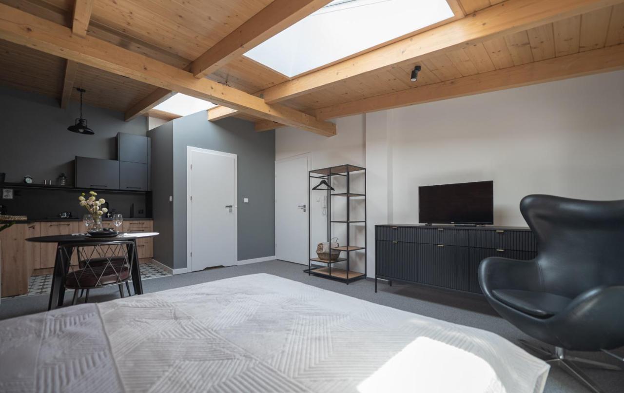 Apartamenty Mlynska 5 Bielsko-Biala Bagian luar foto