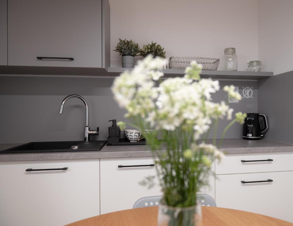 Apartamenty Mlynska 5 Bielsko-Biala Bagian luar foto