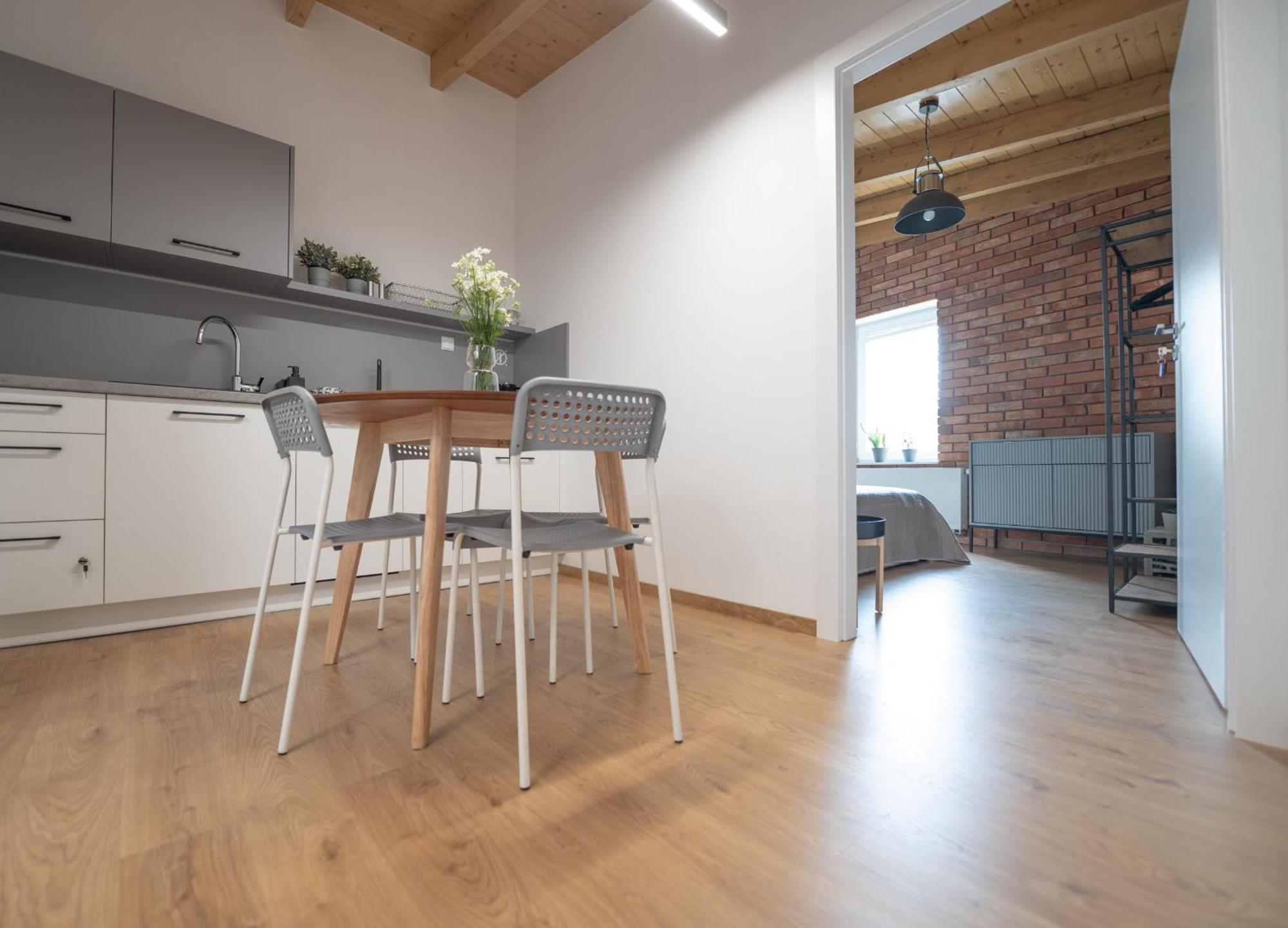 Apartamenty Mlynska 5 Bielsko-Biala Bagian luar foto