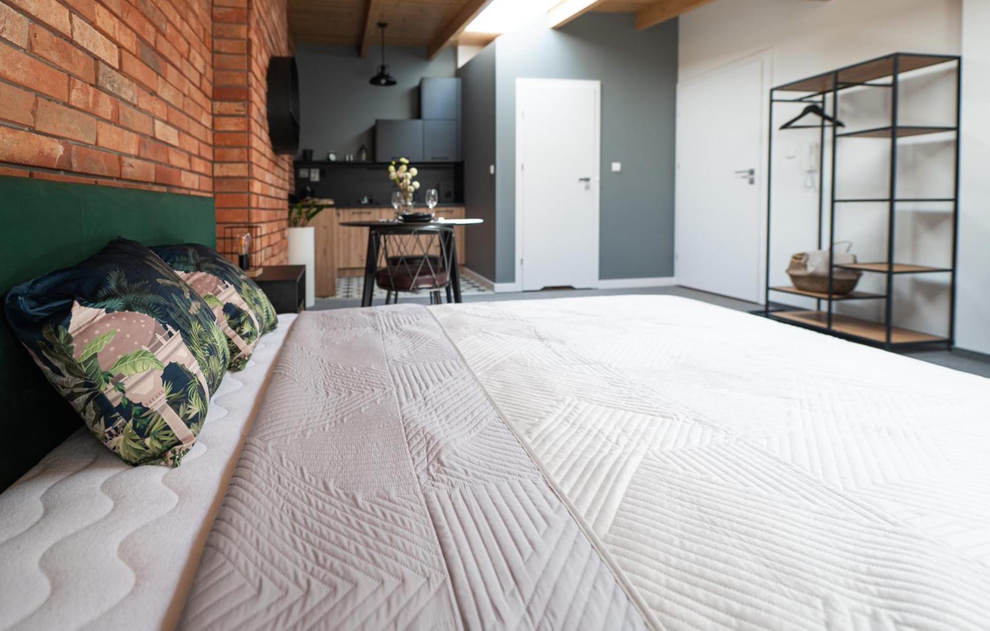 Apartamenty Mlynska 5 Bielsko-Biala Bagian luar foto