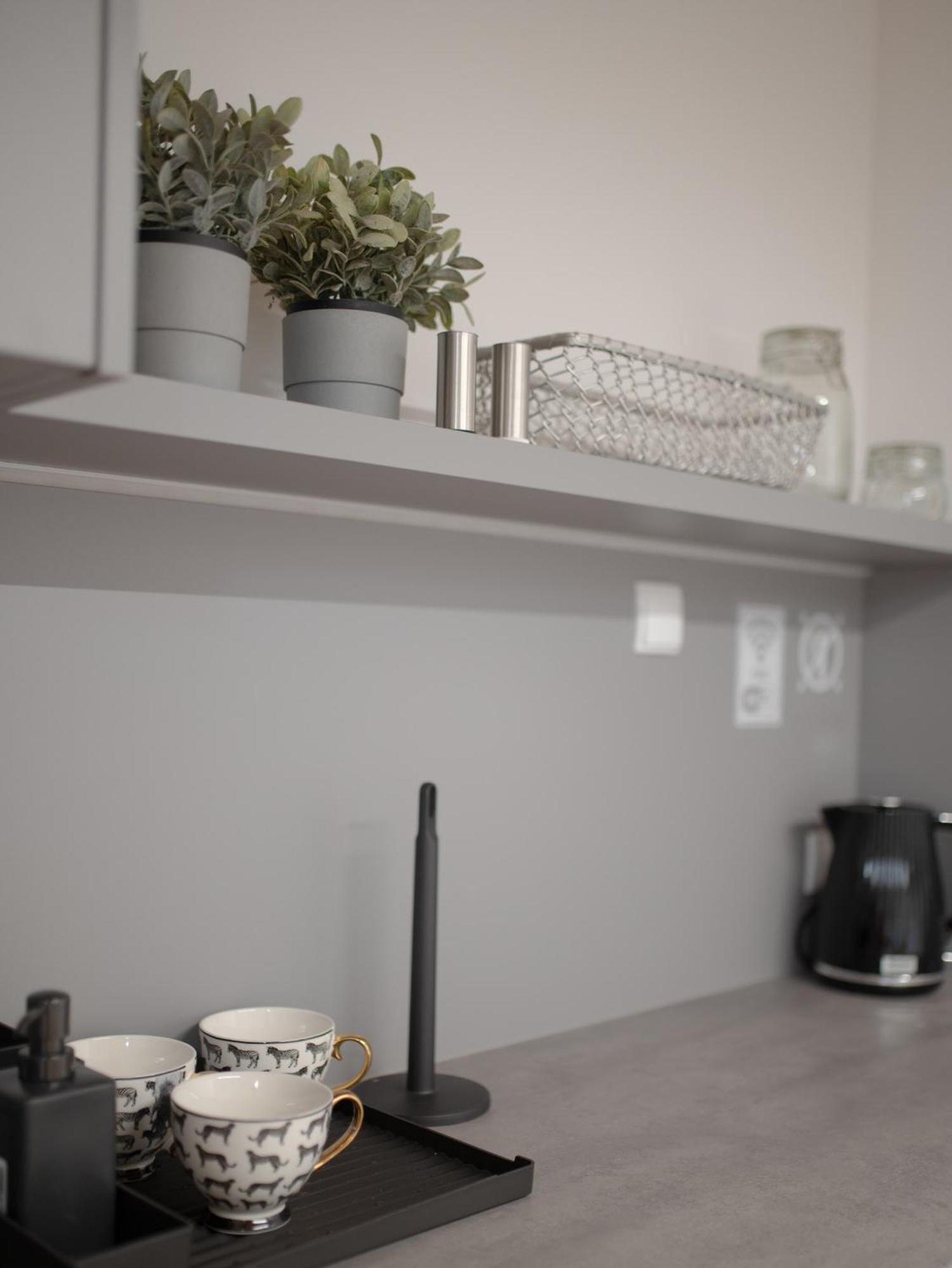 Apartamenty Mlynska 5 Bielsko-Biala Bagian luar foto